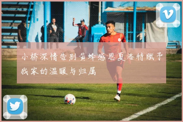 小桥深情告别黄蜂感恩夏洛特赋予我家的温暖与归属