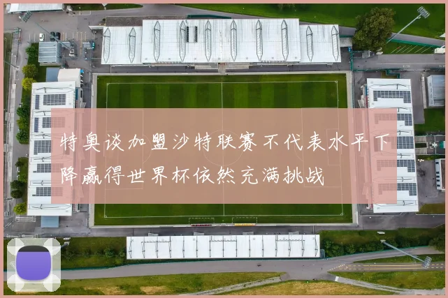 特奥谈加盟沙特联赛不代表水平下降赢得世界杯依然充满挑战